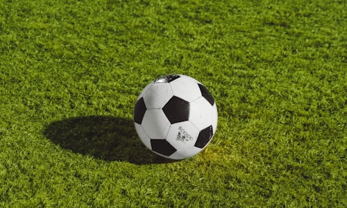 法国国家足球队全体球员庆祝胜利的赛场照片